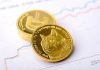 Dogecoin Flashes Key Technical Purchase Sign After Plunging to 3-12 months Lows