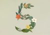 Anthropic Launches Claude Sonnet 5, Fable and Mythos Return Tomorrow Anthropic Launches Claude Sonnet 5, Fable and Mythos Return Tomorrow