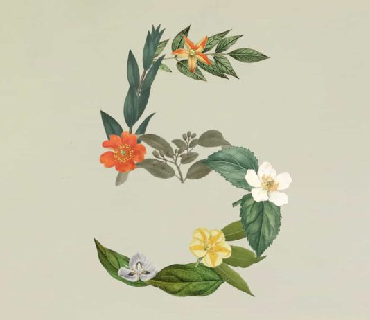 Anthropic Launches Claude Sonnet 5, Fable and Mythos Return Tomorrow