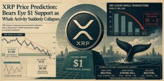 XRP Worth Prediction: Bears Eye $1 Assist as Whale Exercise Out of the blue Collapses XRP Worth Prediction: Bears Eye $1 Assist as Whale Exercise Out of the blue Collapses
