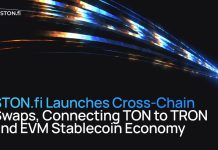 STON.fi Launches Cross-Chain Swaps, Connecting TON to TRON and EVM Stablecoin Financial system STON.fi Launches Cross-Chain Swaps, Connecting TON to TRON and EVM Stablecoin Financial system