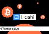 Hashi Testnet Is Dwell, Bringing Native Bitcoin Finance One Step Nearer to International Adoption