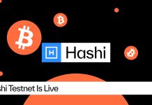 Hashi Testnet Is Dwell, Bringing Native Bitcoin Finance One Step Nearer to International Adoption