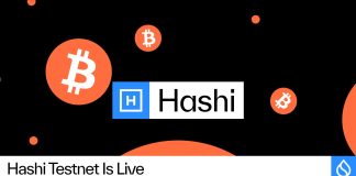 Hashi Testnet Is Dwell, Bringing Native Bitcoin Finance One Step Nearer to International Adoption