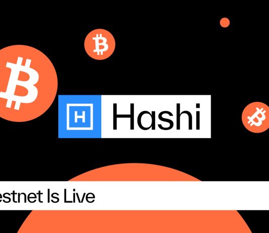 Hashi Testnet Is Dwell, Bringing Native Bitcoin Finance One Step Nearer to International Adoption Hashi Testnet Is Dwell, Bringing Native Bitcoin Finance One Step Nearer to International Adoption