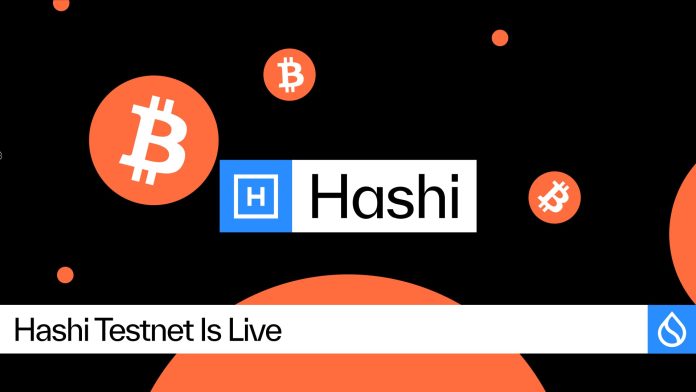 Hashi Testnet Is Dwell, Bringing Native Bitcoin Finance One Step Nearer to International Adoption Hashi Testnet Is Dwell, Bringing Native Bitcoin Finance One Step Nearer to International Adoption