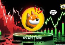 BONK Worth Motion: BONK Token Key Ranges Highlighted by Map After Day by day Low Bounce