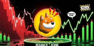 BONK Worth Motion: BONK Token Key Ranges Highlighted by Map After Day by day Low Bounce