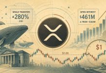 XRP Value Prediction: XRP Reclaims $1 Help as Whale Transfers Bounce 280% and Open Curiosity Rises