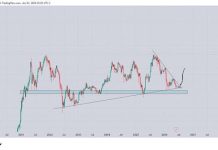 Bitcoin Quick Squeeze Places Report Liquidation Declare Again In Focus