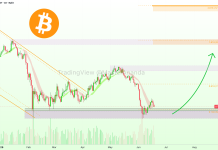 Canary Recordsdata Fourth Staked TRX ETF Modification With 1.10% Price