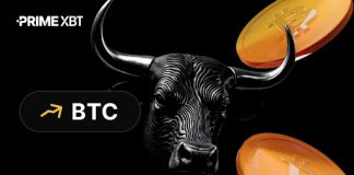 PrimeXBT: Is that this the beginning of a Bitcoin bull run? A 2022 sign appeared earlier than the rally