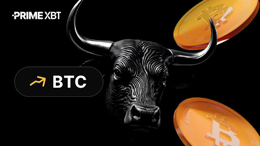 PrimeXBT: Is that this the beginning of a Bitcoin bull run? A 2022 sign appeared earlier than the rally PrimeXBT: Is that this the beginning of a Bitcoin bull run? A 2022 sign appeared earlier than the rally