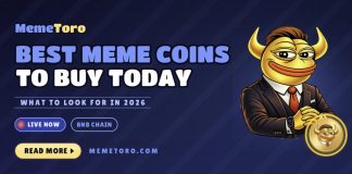 Greatest 6 BNB Memecoins to Purchase in 2026: MemeToro Targets AI Launches Whereas FLOKI Builds Utility