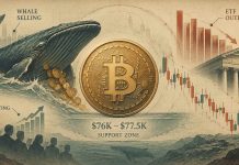 Bitcoin (BTC) Value At present: Whale Promoting and ETF Outflows Put $76Okay Assist to the Check