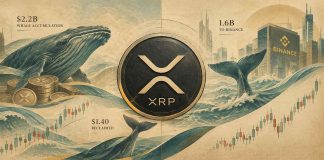 XRP Value As we speak: XRP Reclaims $1.40 as Whale Accumulation Hits $2.2B XRP Value As we speak: XRP Reclaims $1.40 as Whale Accumulation Hits $2.2B