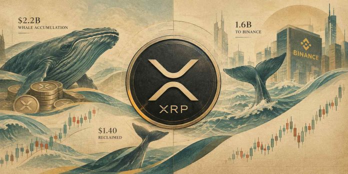 XRP Value As we speak: XRP Reclaims $1.40 as Whale Accumulation Hits $2.2B XRP Value As we speak: XRP Reclaims $1.40 as Whale Accumulation Hits $2.2B