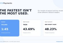 NOWPayments Releases Cross-Chain Payout Information Revealing Key Efficiency Benchmarks Throughout TRON, BNB Chain, and Solana