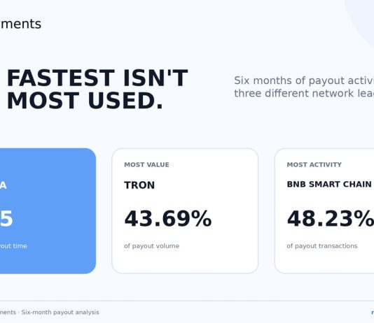 NOWPayments Releases Cross-Chain Payout Information Revealing Key Efficiency Benchmarks Throughout TRON, BNB Chain, and Solana