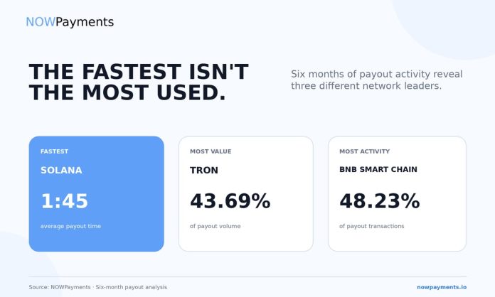 NOWPayments Releases Cross-Chain Payout Information Revealing Key Efficiency Benchmarks Throughout TRON, BNB Chain, and Solana NOWPayments Releases Cross-Chain Payout Information Revealing Key Efficiency Benchmarks Throughout TRON, BNB Chain, and Solana