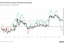 Bitwise Updates XRP ETF Prospectus In New SEC Submitting
