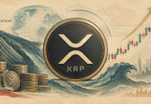 XRP Value As we speak: XRP Hits $1.60 as Heavy Whale Accumulation Factors to a $2 Rally and Past