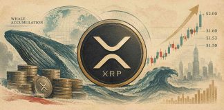 XRP Value As we speak: XRP Hits $1.60 as Heavy Whale Accumulation Factors to a $2 Rally and Past XRP Value As we speak: XRP Hits $1.60 as Heavy Whale Accumulation Factors to a $2 Rally and Past