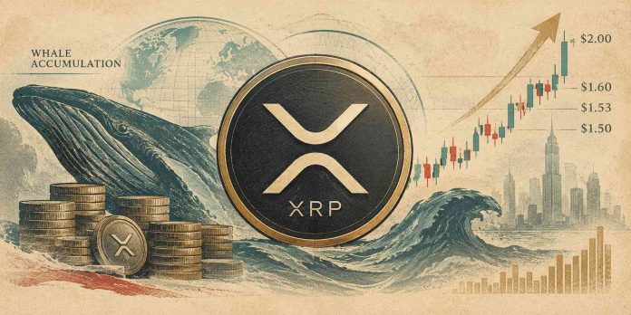 XRP Value As we speak: XRP Hits $1.60 as Heavy Whale Accumulation Factors to a $2 Rally and Past