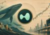 Hyperliquid (HYPE) Value Prediction: Can Whale Shopping for and Binance Itemizing Drive HYPE to $210? Hyperliquid (HYPE) Value Prediction: Can Whale Shopping for and Binance Itemizing Drive HYPE to $210?