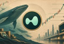 Hyperliquid (HYPE) Value Prediction: Can Whale Shopping for and Binance Itemizing Drive HYPE to $210?