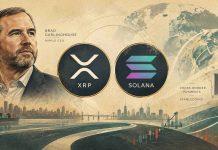 Ripple CEO Brad Garlinghouse Says XRP and Solana Can Each Thrive in Crypto’s Subsequent 5 Years