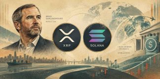 Ripple CEO Brad Garlinghouse Says XRP and Solana Can Each Thrive in Crypto’s Subsequent 5 Years