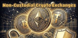 Non-Custodial Crypto Exchanges: How Self-Custody Is Altering the Manner Customers Swap Digital Property