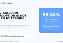 Stablecoins Are Quietly Turning into Enterprise Infrastructure, NOWPayments Information Reveals Stablecoins Are Quietly Turning into Enterprise Infrastructure, NOWPayments Information Reveals