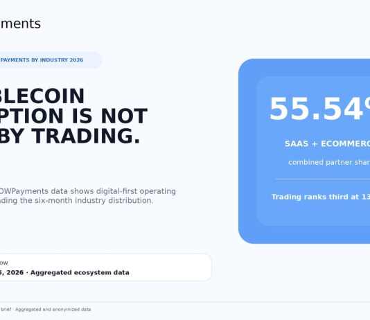 Stablecoins Are Quietly Turning into Enterprise Infrastructure, NOWPayments Information Reveals