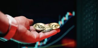 What Is Crypto Spot Buying and selling? What Is Crypto Spot Buying and selling?