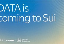 DATA Community joins Sui and Walrus to scale the availability chain for AI coaching information DATA Community joins Sui and Walrus to scale the availability chain for AI coaching information