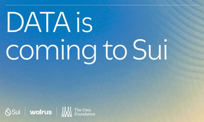 DATA Community joins Sui and Walrus to scale the availability chain for AI coaching information DATA Community joins Sui and Walrus to scale the availability chain for AI coaching information