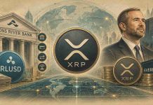 Ripple Brings RLUSD to Cross River Financial institution as Garlinghouse Backs Evernorth’s XRP Technique