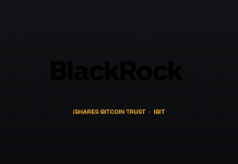 Bitcoin ETFs Lose $82 Million As BlackRock Leads Friday’s Withdrawals Bitcoin ETFs Lose $82 Million As BlackRock Leads Friday’s Withdrawals