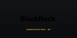 Bitcoin ETFs Lose $82 Million As BlackRock Leads Friday’s Withdrawals