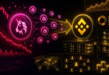 Robinhood Chain Now Accounts For Extra Than Half Of Uniswap Income
