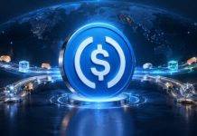 USDC Community Charges in 2026: Ethereum vs Solana vs Different Chains, Priced to the Cent