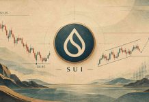 Sui Value Prediction: Bullish Fractal Emerges Close to $0.99—Is SUI Close to a Backside After Falling From $1.25 to $0.95? Sui Value Prediction: Bullish Fractal Emerges Close to $0.99—Is SUI Close to a Backside After Falling From $1.25 to $0.95?