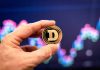 Dogecoin Labs Brings MyDoge And DogeOS Collectively In Industrial Reset Dogecoin Labs Brings MyDoge And DogeOS Collectively In Industrial Reset
