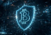 UNDP And Blockchain For Good Put Public-Service Safety Forward Of New Fee Rails
